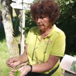 Frau Bauer Kräuterwanderung